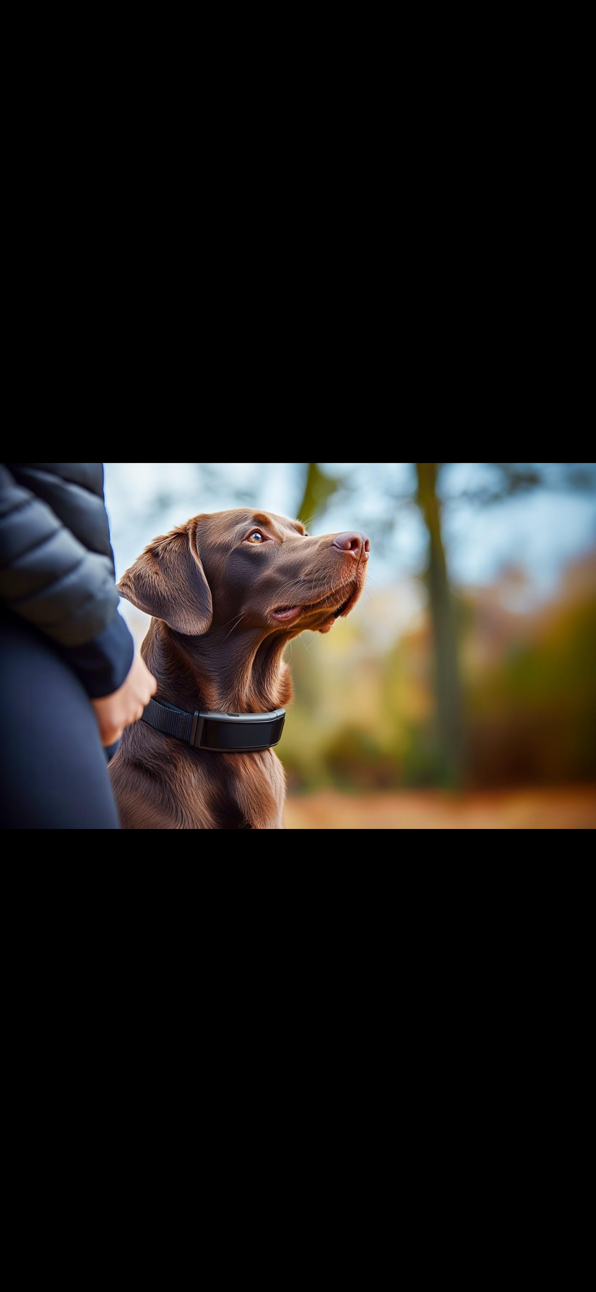 ProControl™ Collar de Entrenamiento Canino